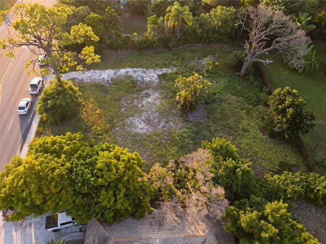 Side View
