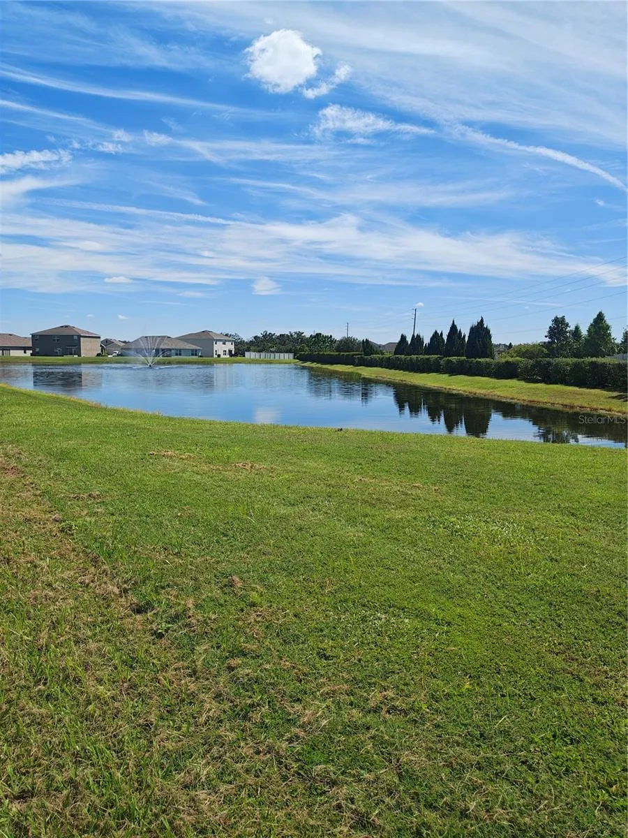 Backyard view