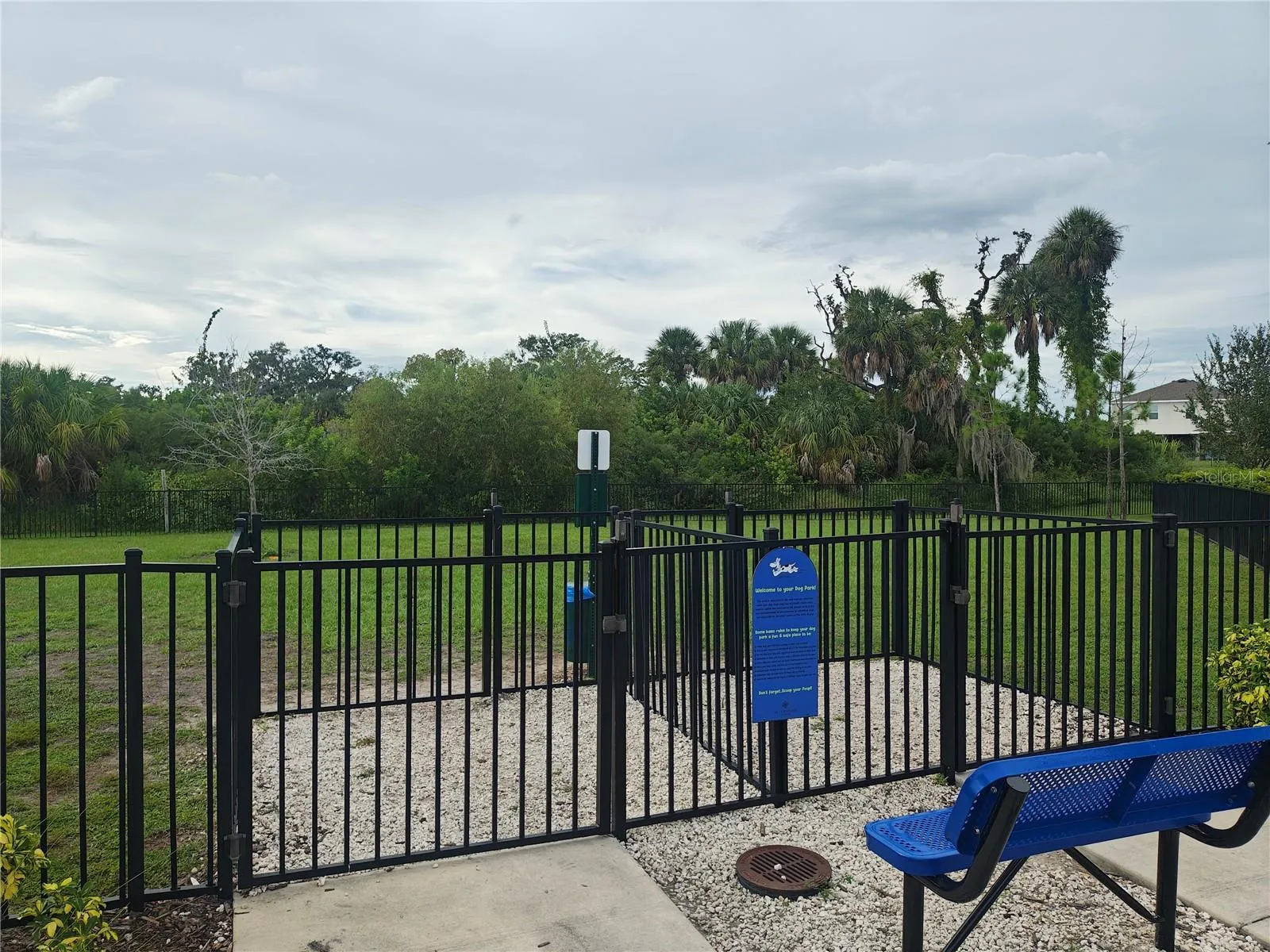 Spacious dog park