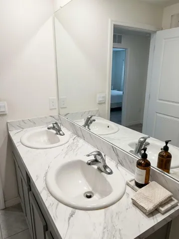 Primary bath vanity