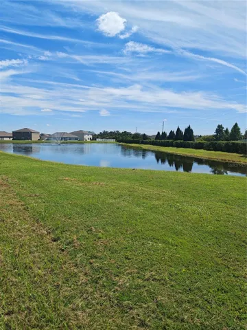 Backyard view