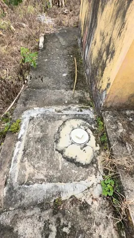 septic tank