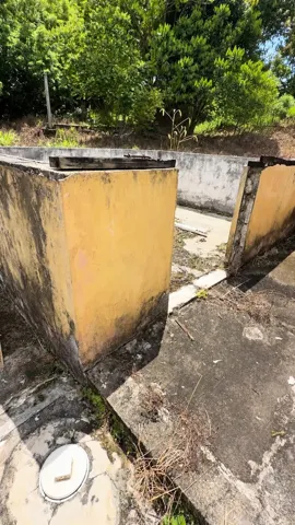 septic tank