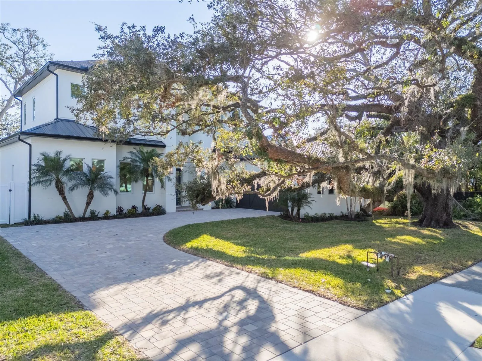 Beautiful Live Oak, there is an option to fence in the front yard.
