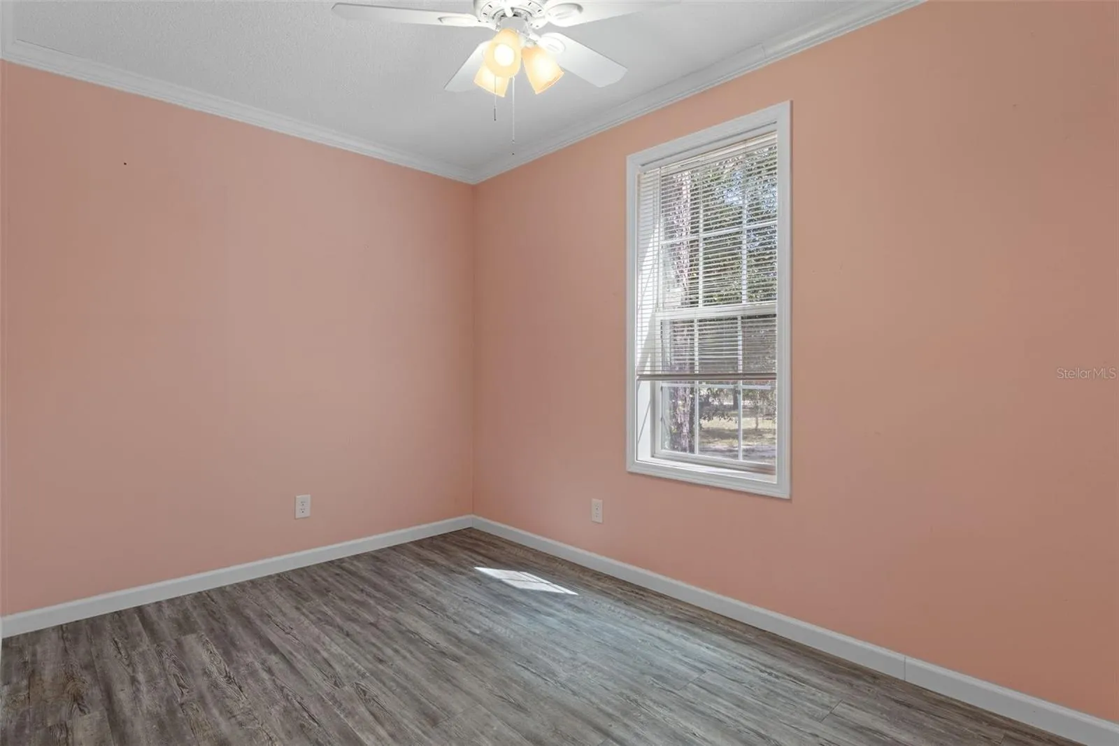 Unstaged office/ flex room offers space for work, hobbies or additional living needs.
