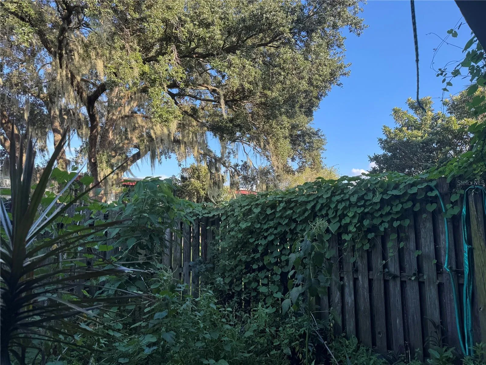 1ST FLOOR PATIO MORNING COFFEE VIEWS