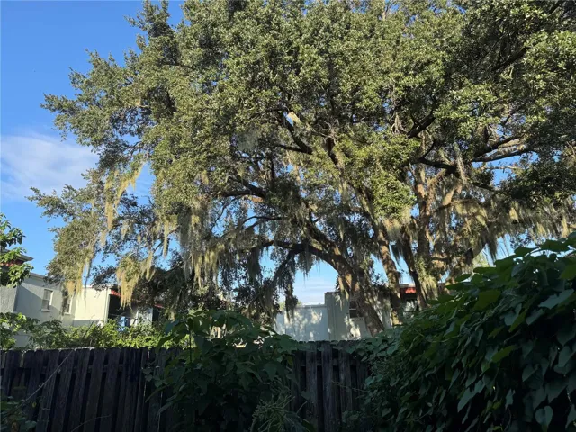 1ST FLOOR PATIO MORNING COFFEE VIEWS