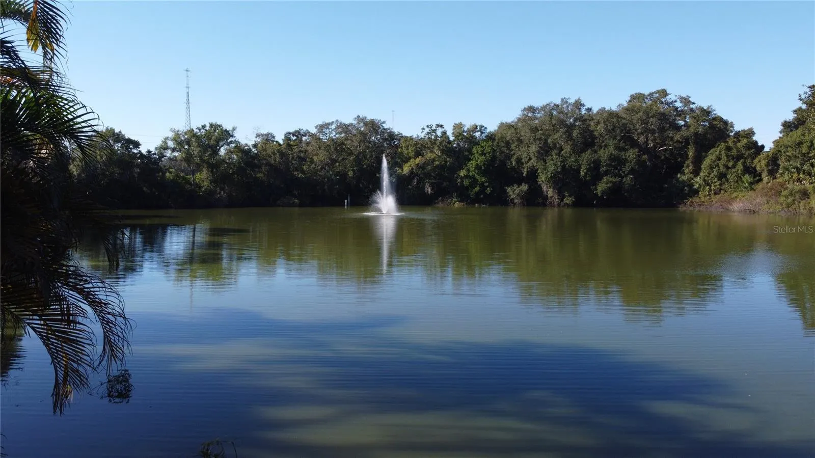 Fishing pond