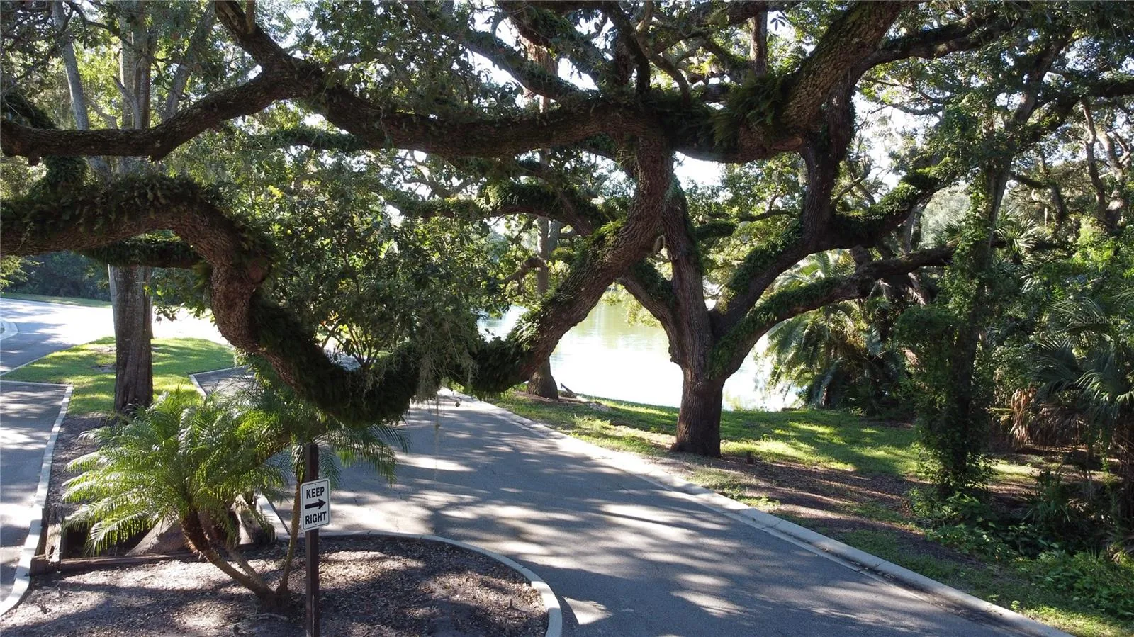 Mature tree lined streets