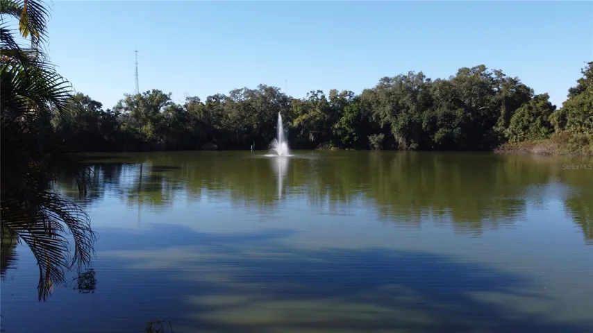 Fishing pond