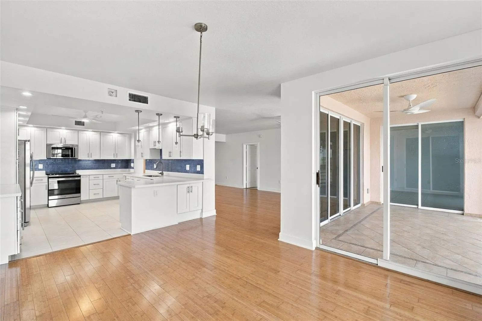Living room/Kitchen
