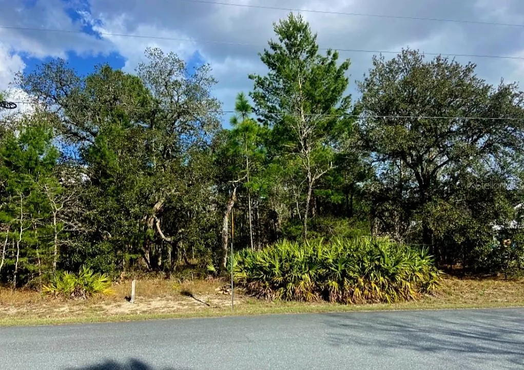 Beautifully treed homesite!!