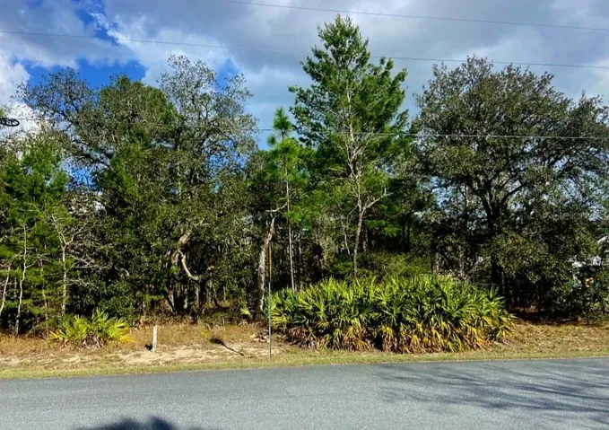 Beautifully treed homesite!!