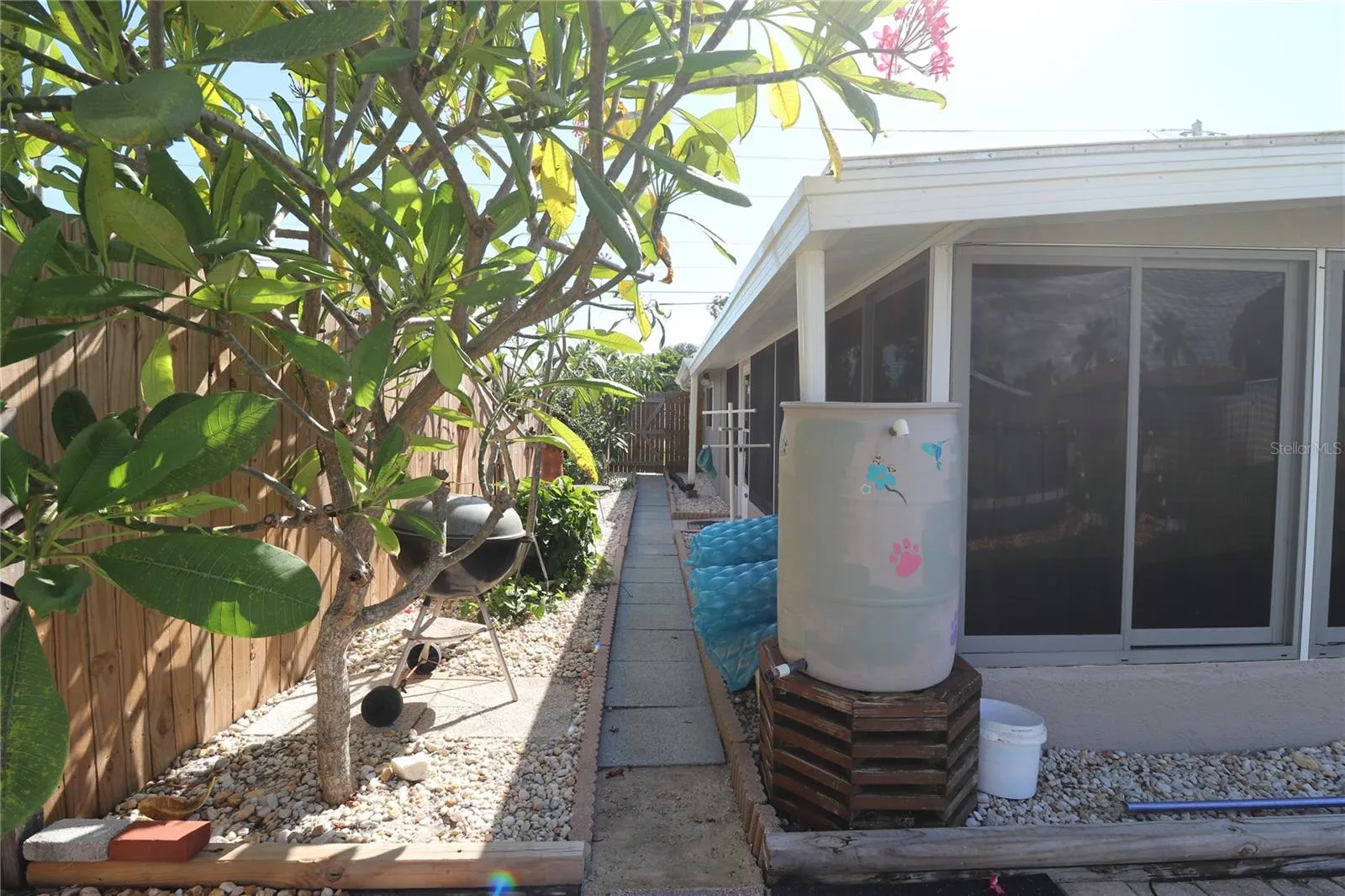 Side yard area with Plumeria Trees
