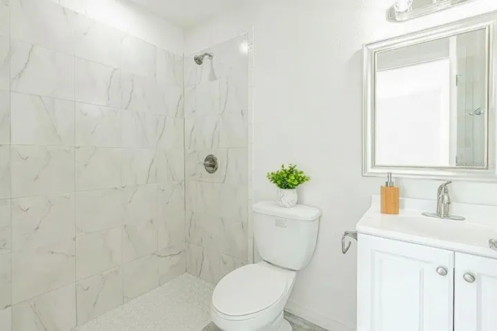 Primary bathroom shower