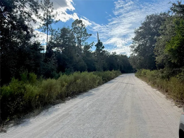 Street View.
