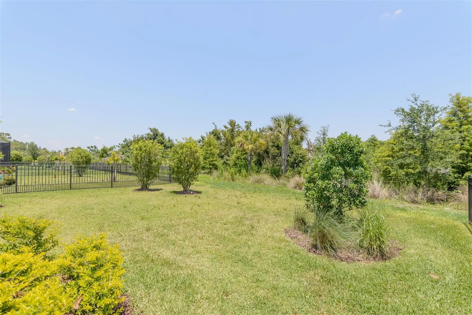 back yard