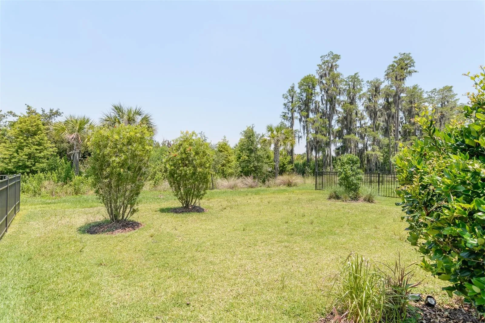 back yard