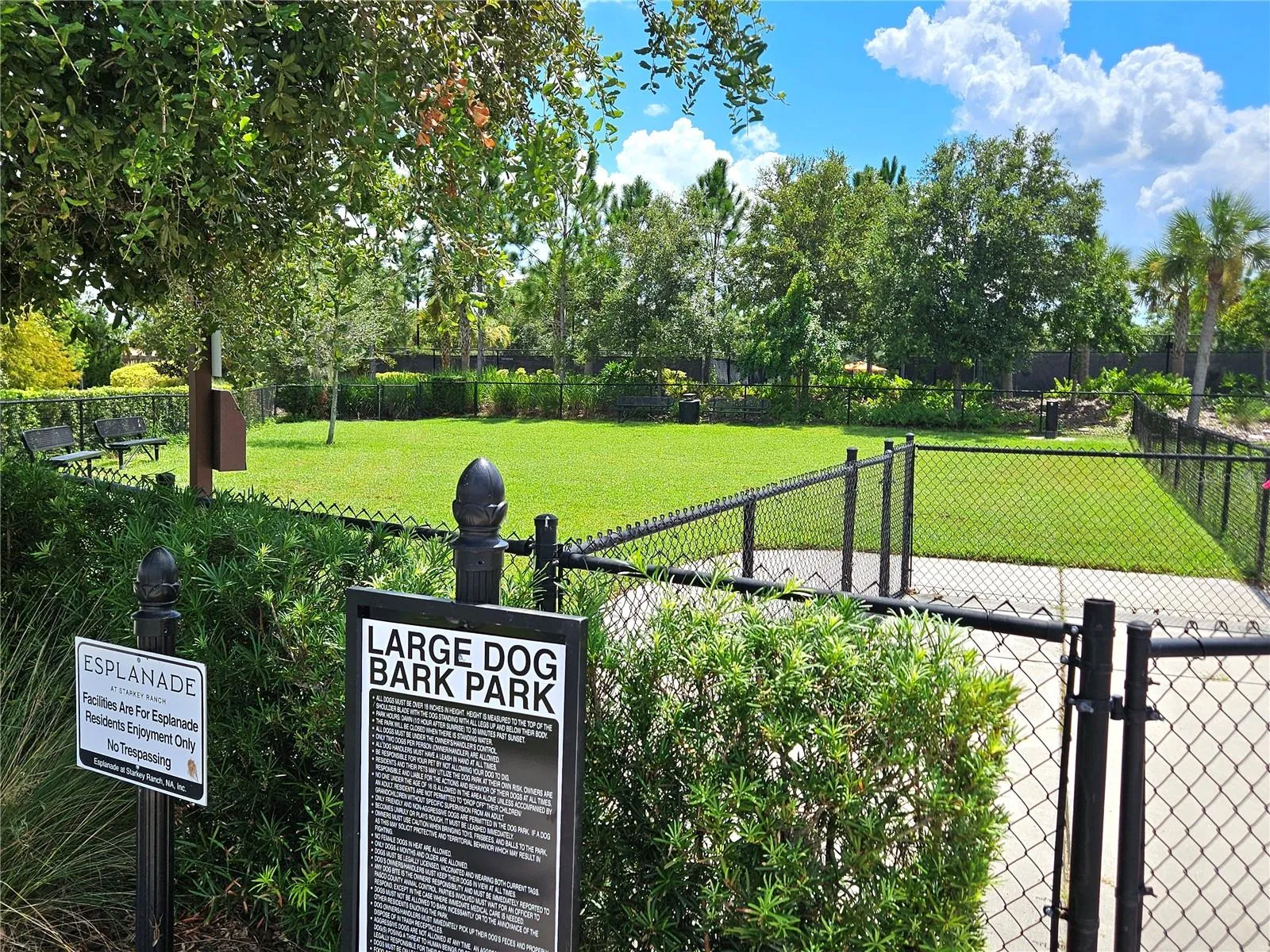 dog park