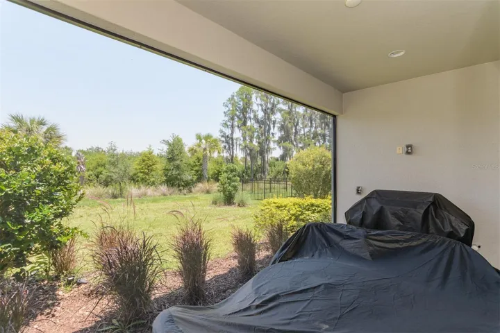 back yard