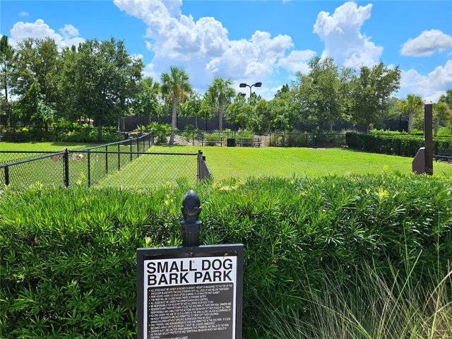 dog park