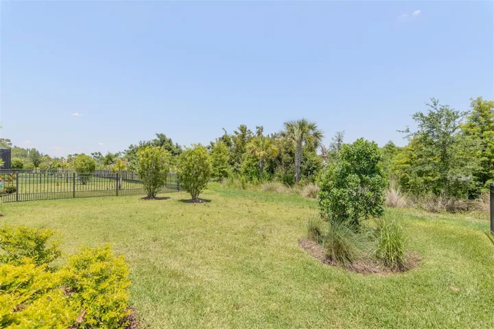 back yard