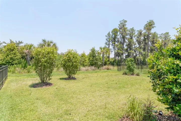 back yard