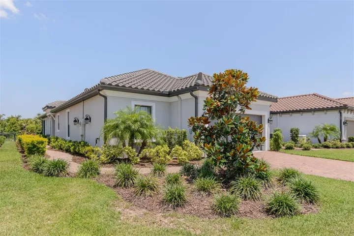 front yard