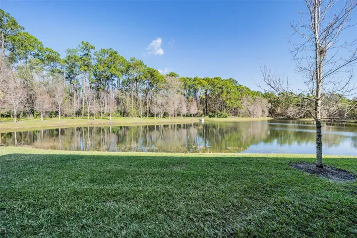 Back yard waterviews and conservation