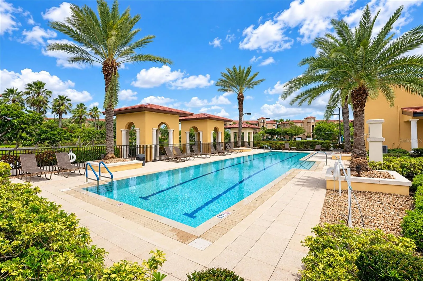 Lap Pool