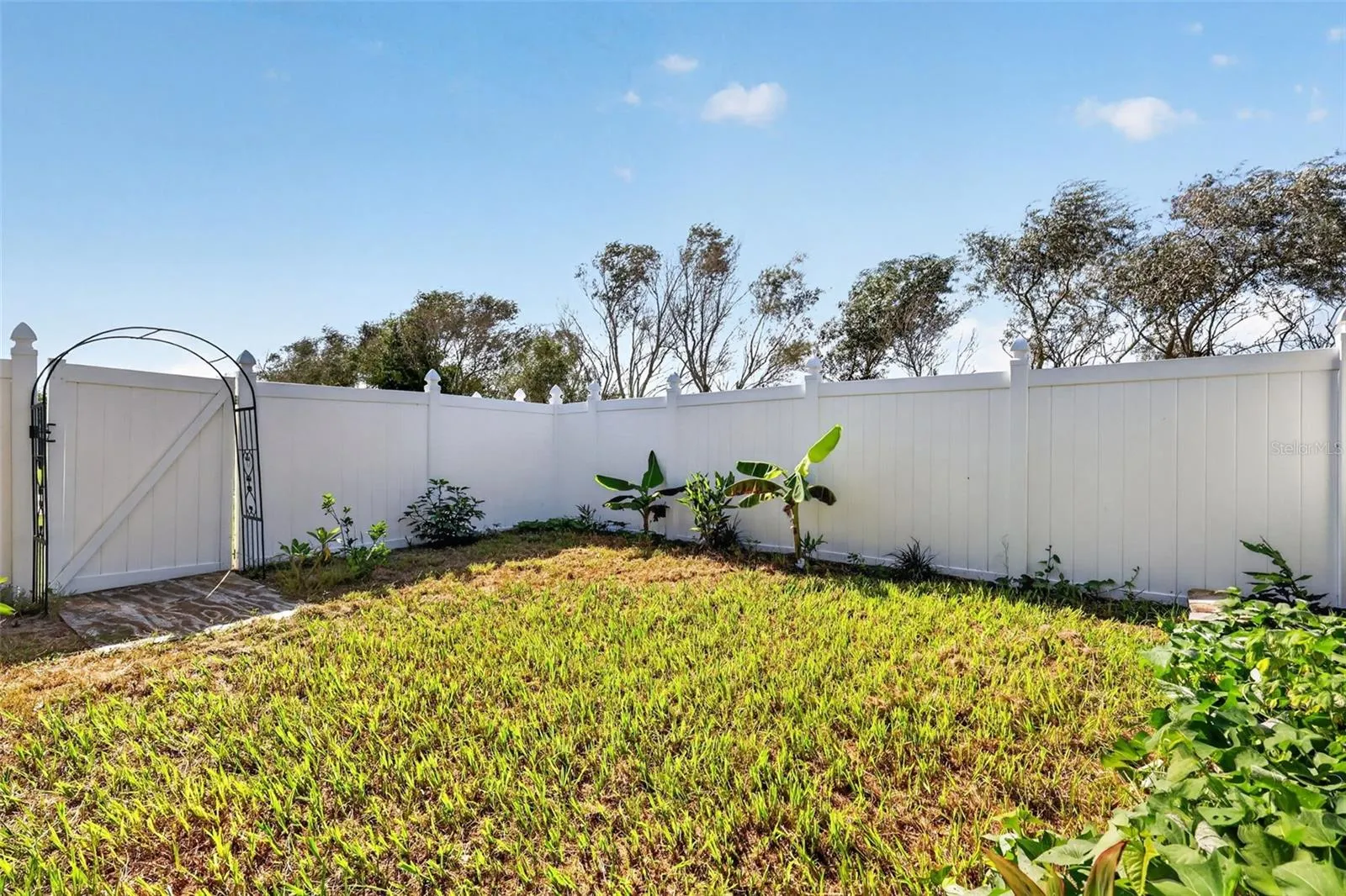 Garden Area