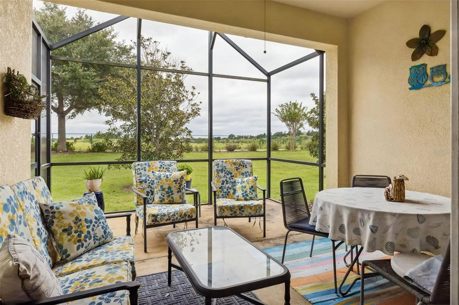 Extended screened lanai with view