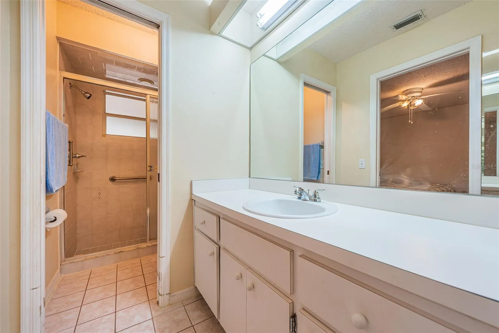 Primary Suite Bath - New Sink