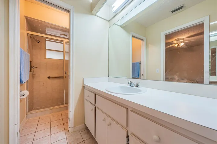 Primary Suite Bath - New Sink