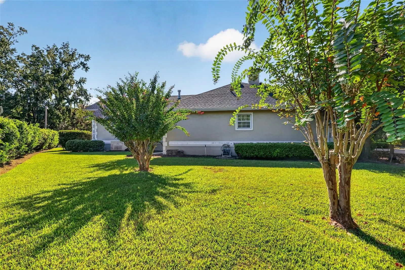 Side Elevation with ROOM FOR A POOL!