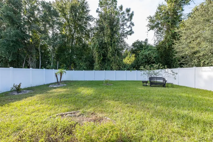 Fenced back yard