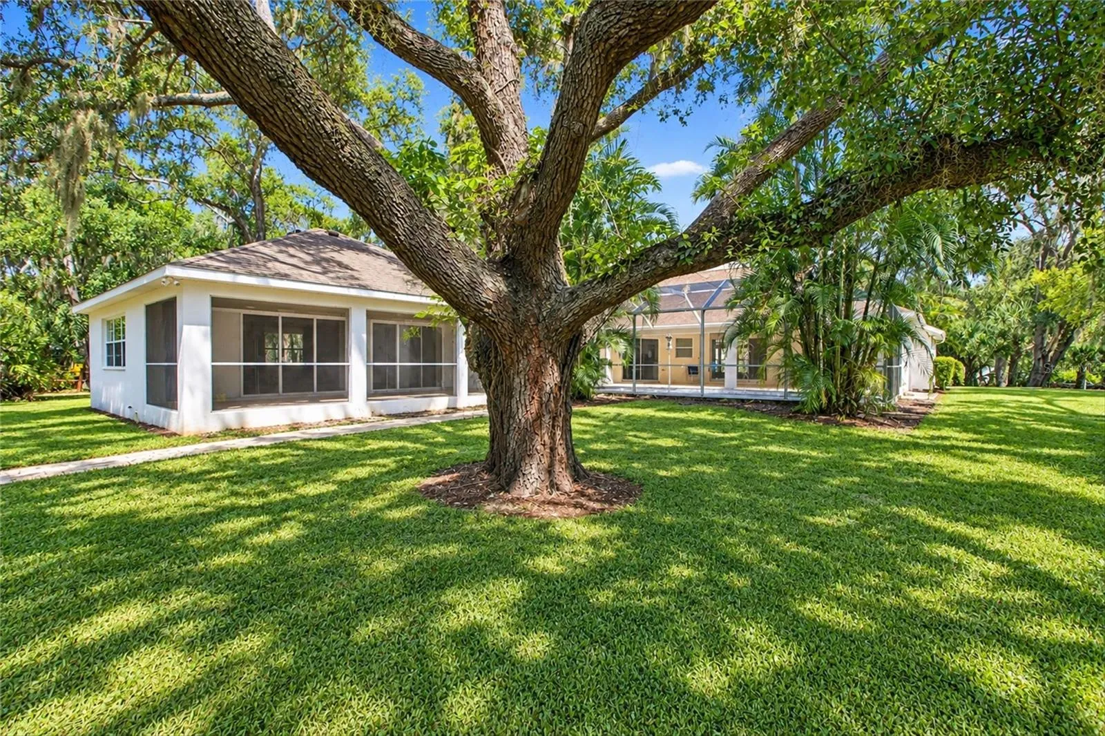 Rear Exterior View with Grand Oak Tree
