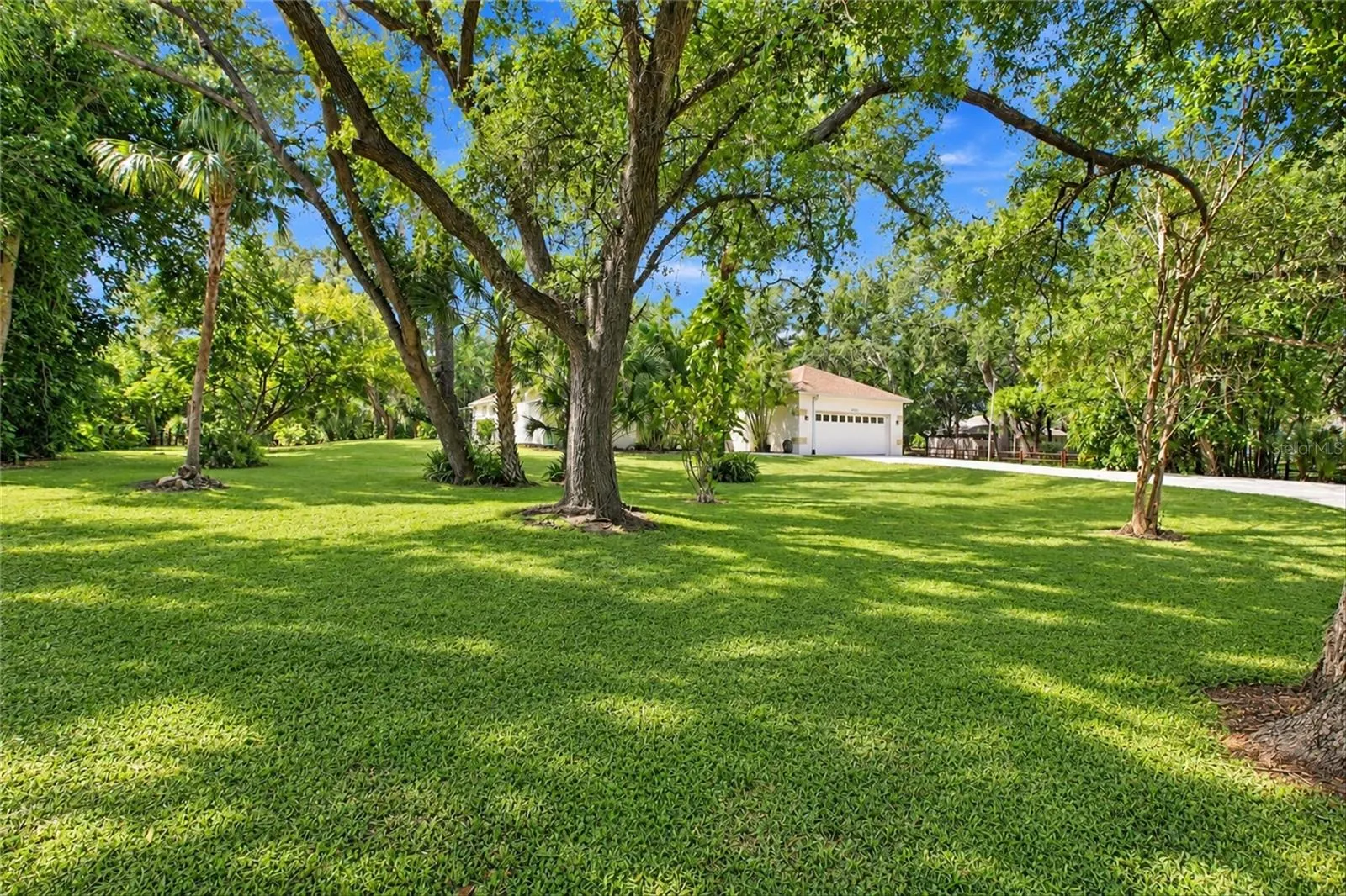 Front Yard View
