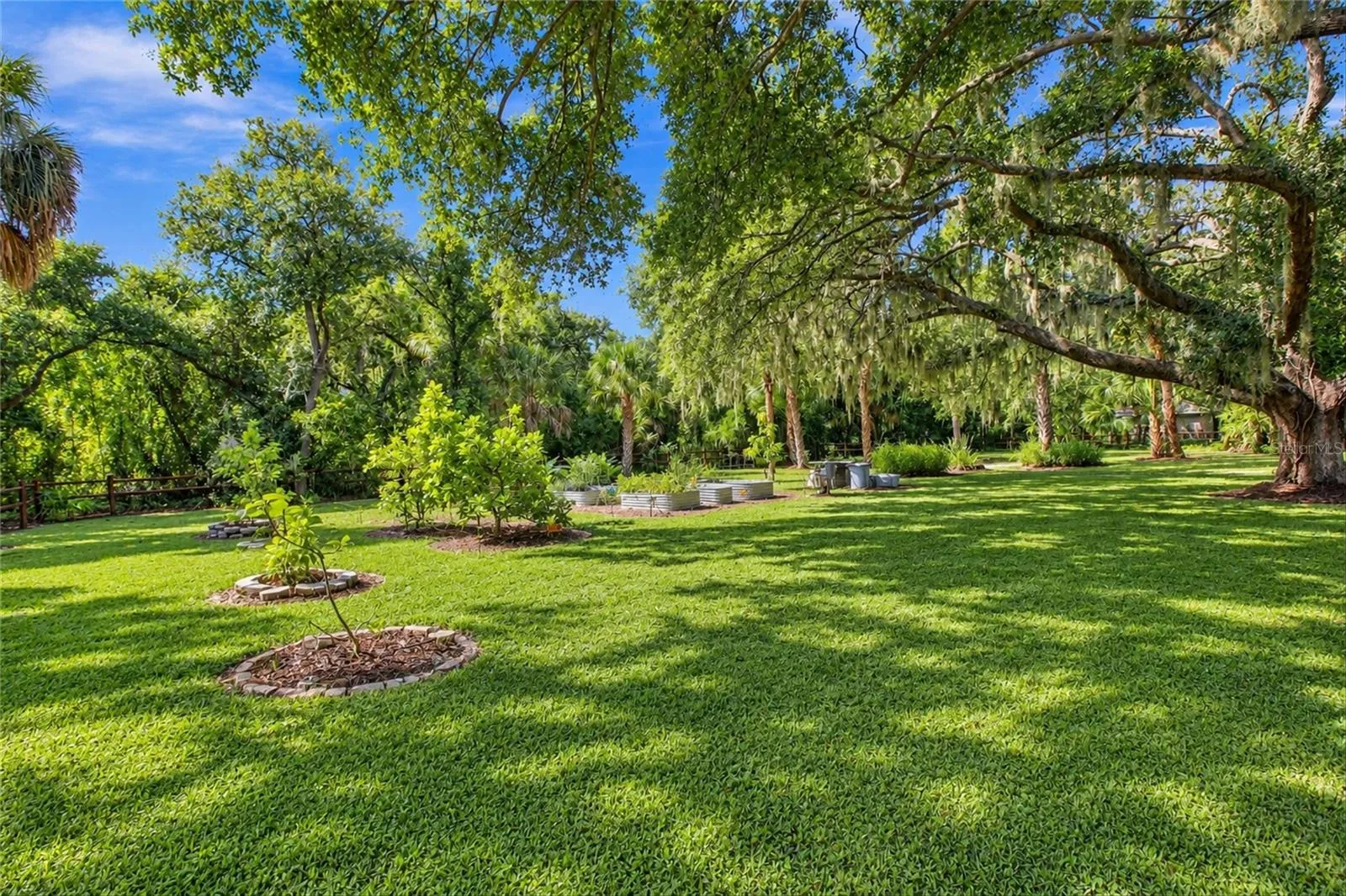 Garden and Fruit Trees