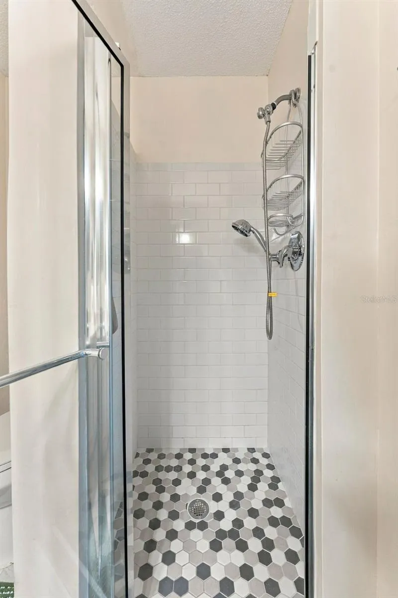Primary bathroom shower