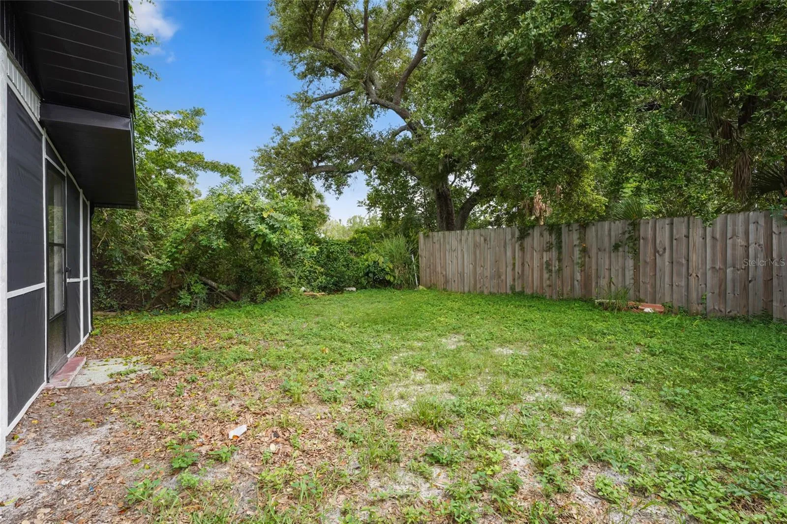 4749 backyard