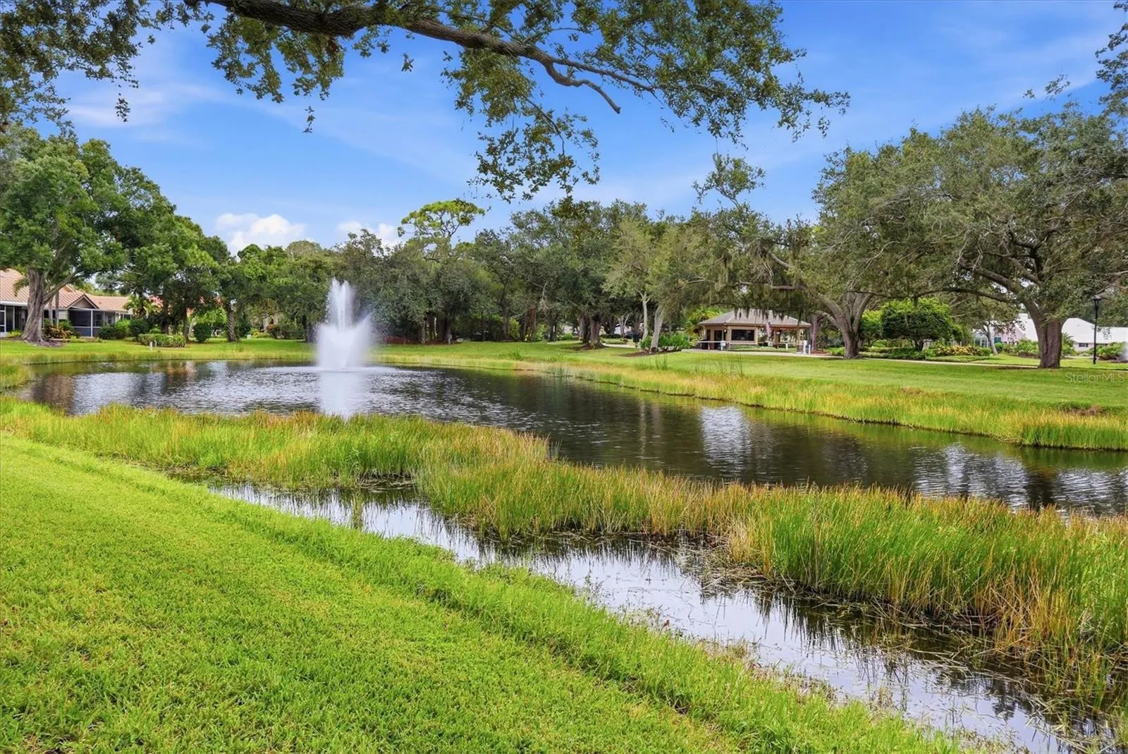 Water view with fountain