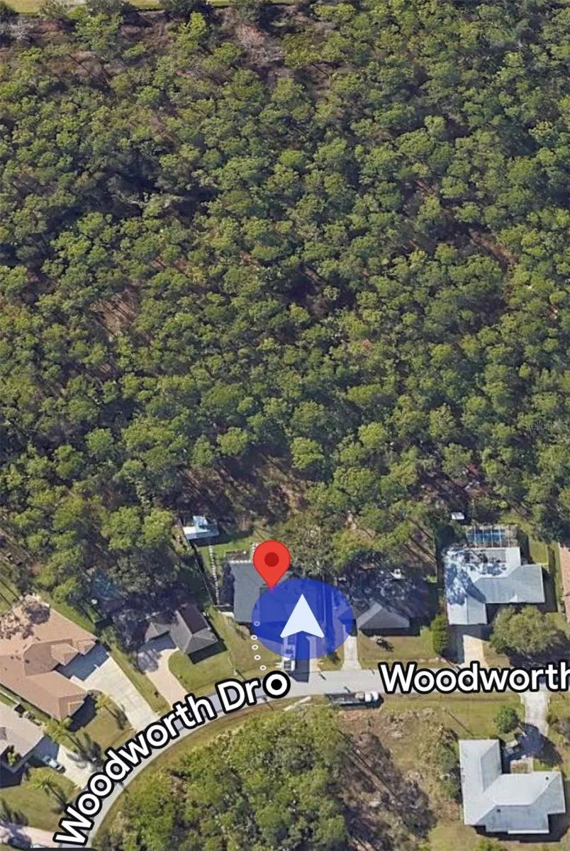 Nothing but woods behind and around you.