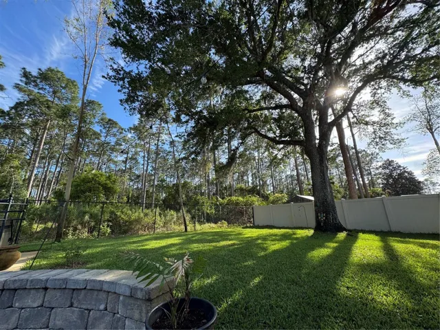 Views in Backyard
