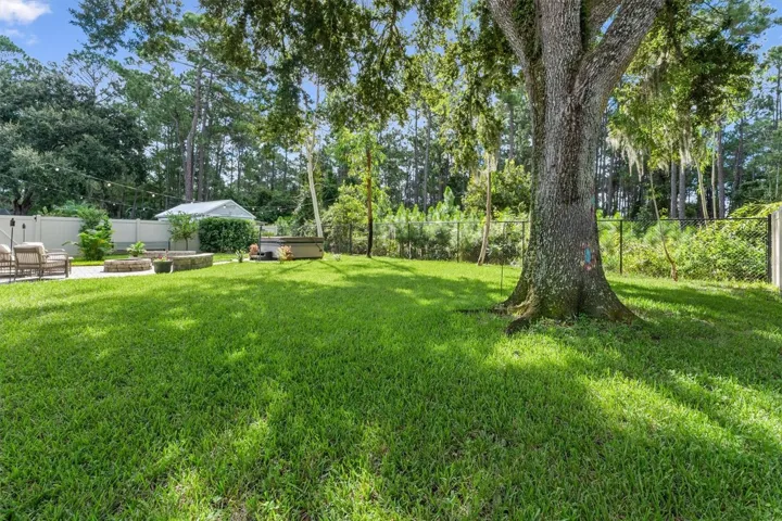 Views in Backyard