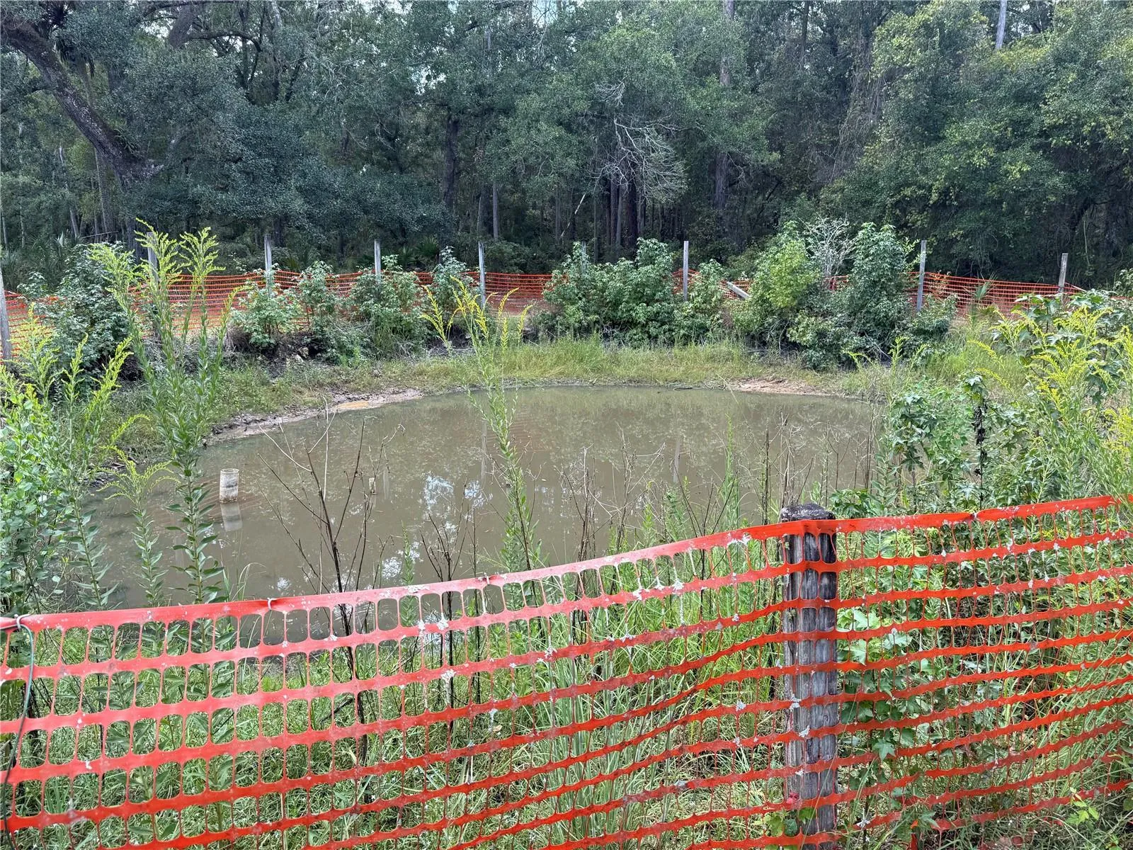 With a little work this can be a stocked pond