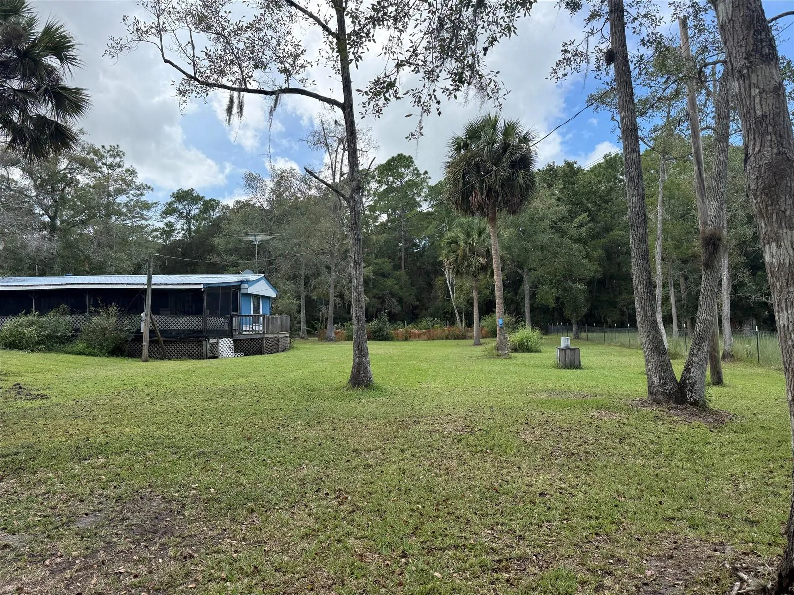 The side yard