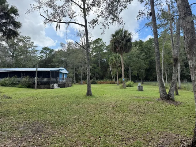 The side yard