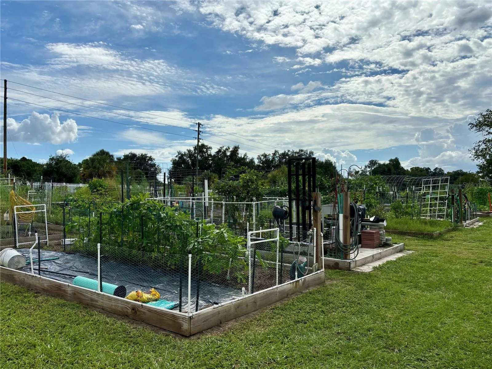 Community Garden