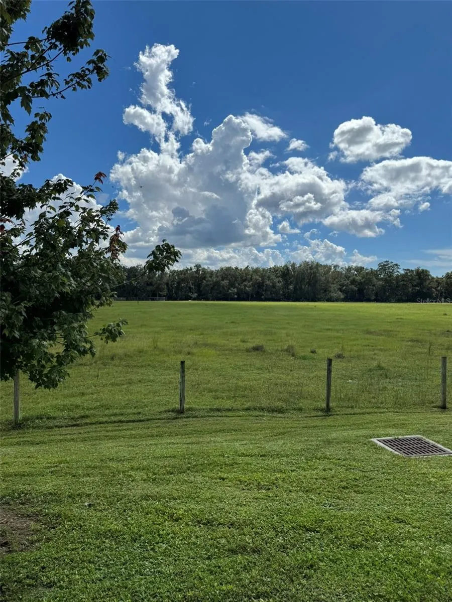 Back Yard View
